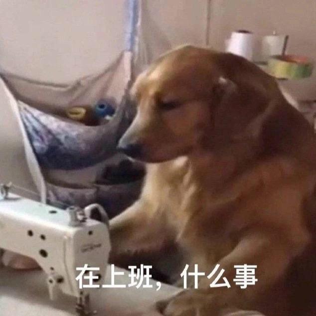 神厨李富贵（摆摊版）