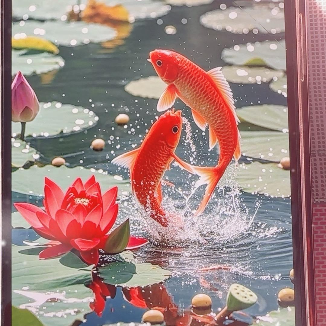 好运连连