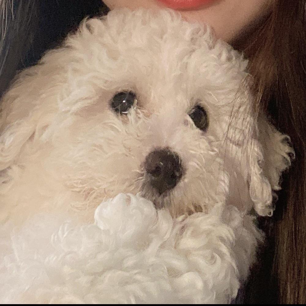 ￴  ￴  ￴  ￴  ￴