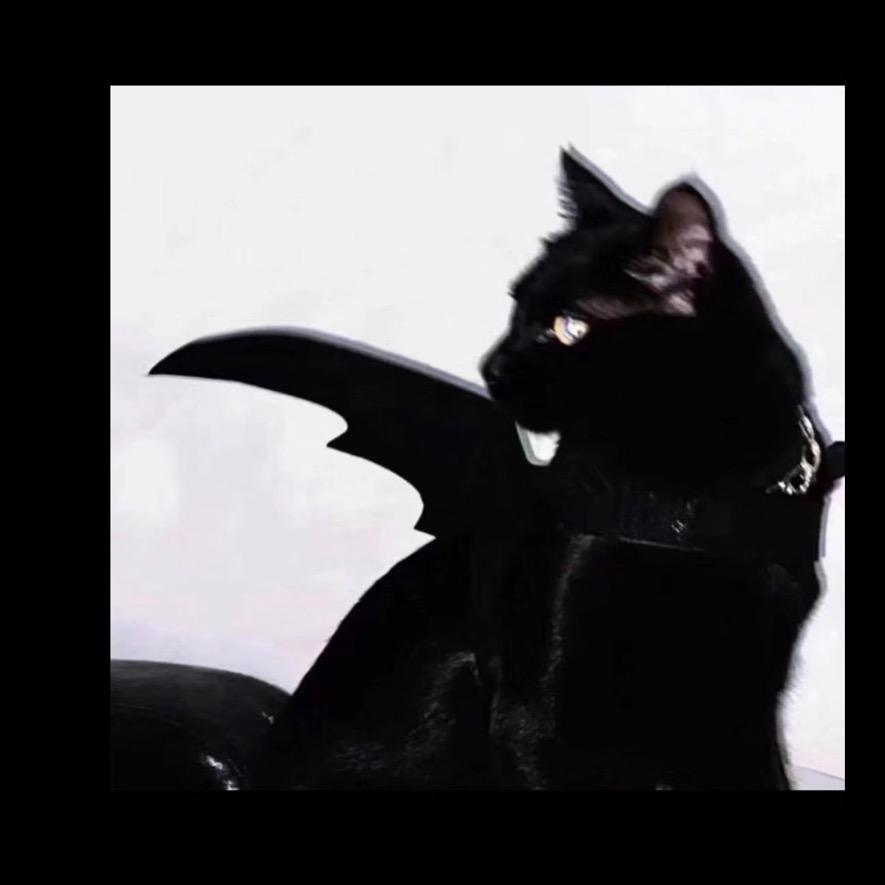淮の魔法屋🔮