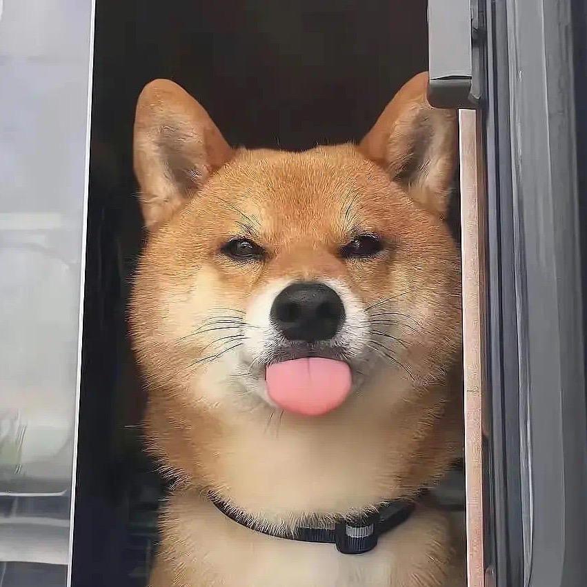 倾城