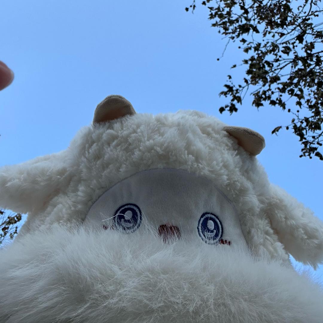 皮卡丘💕