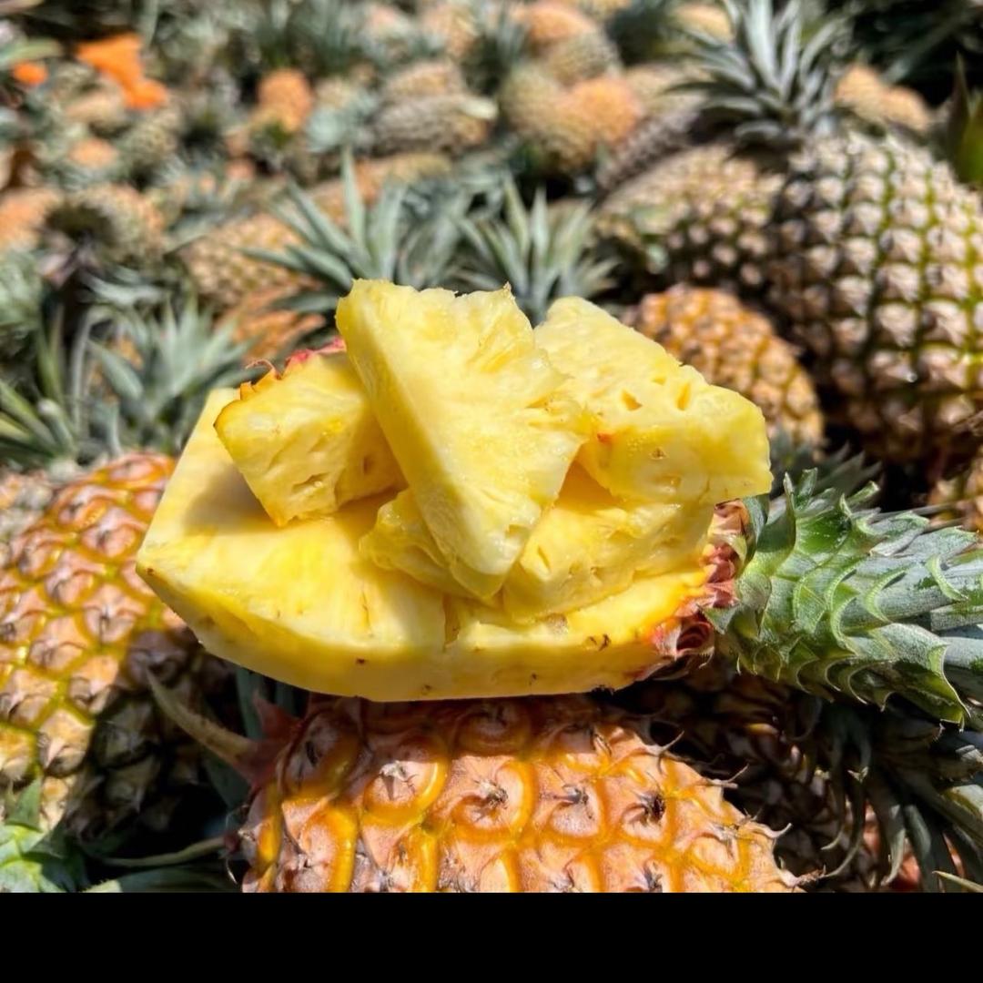 海南水果批发子涵