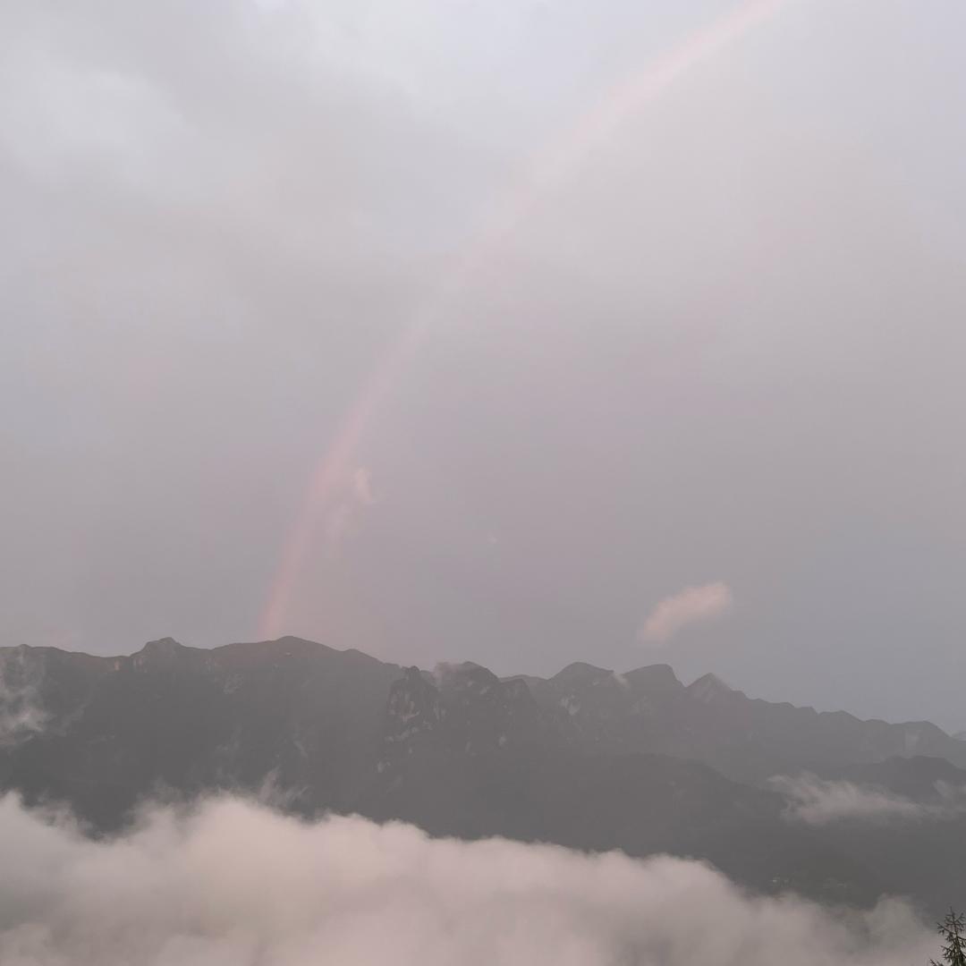 💰财🦾😸👹🎃迷🤜✌️