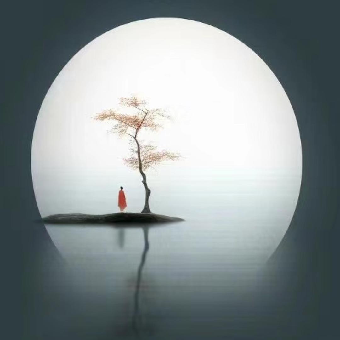 雨木