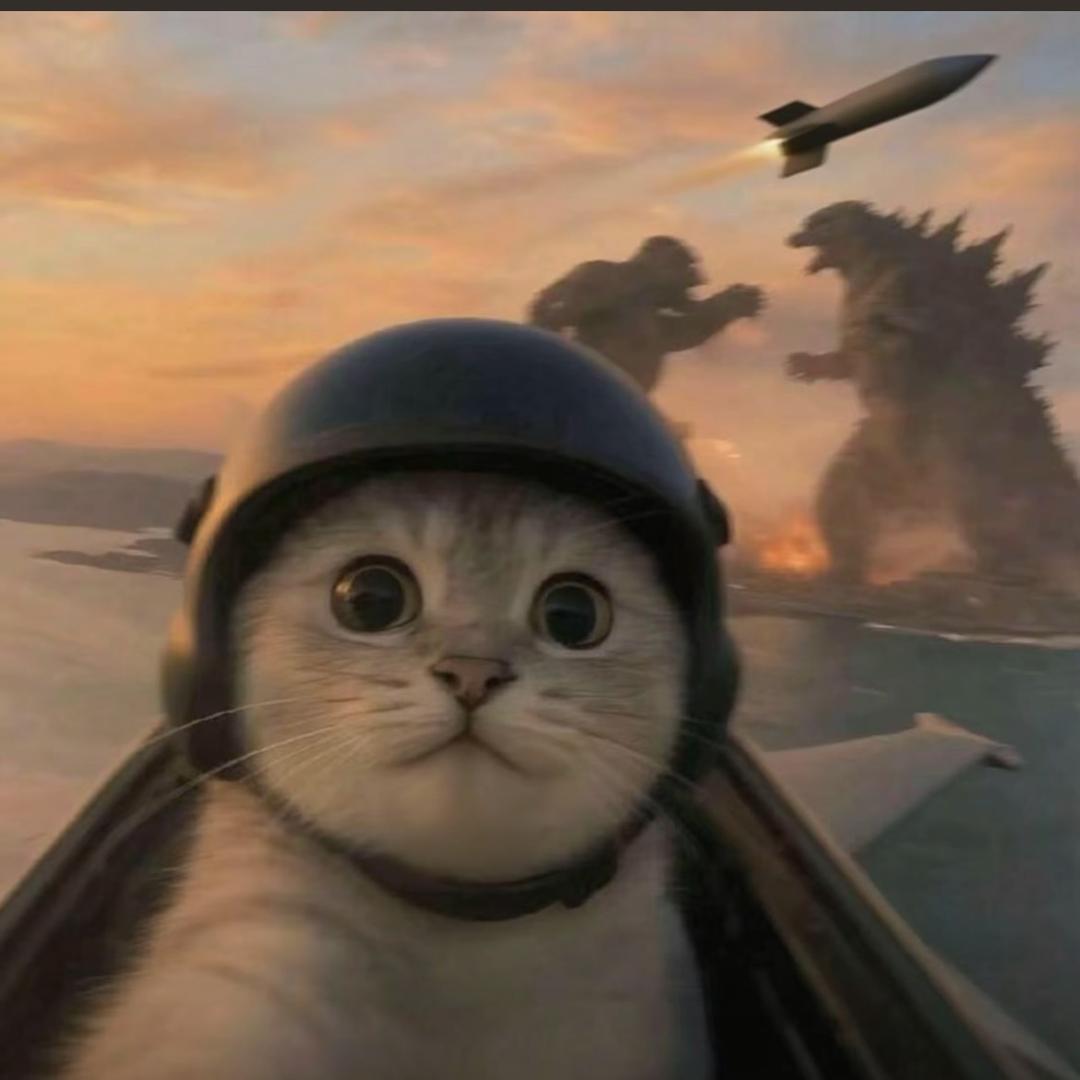 上进的阿豪🇨🇳