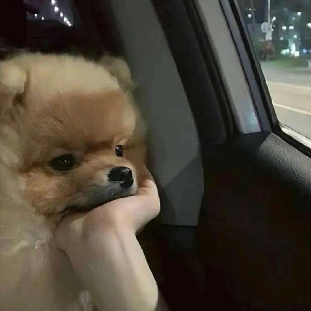 我脸红啦
