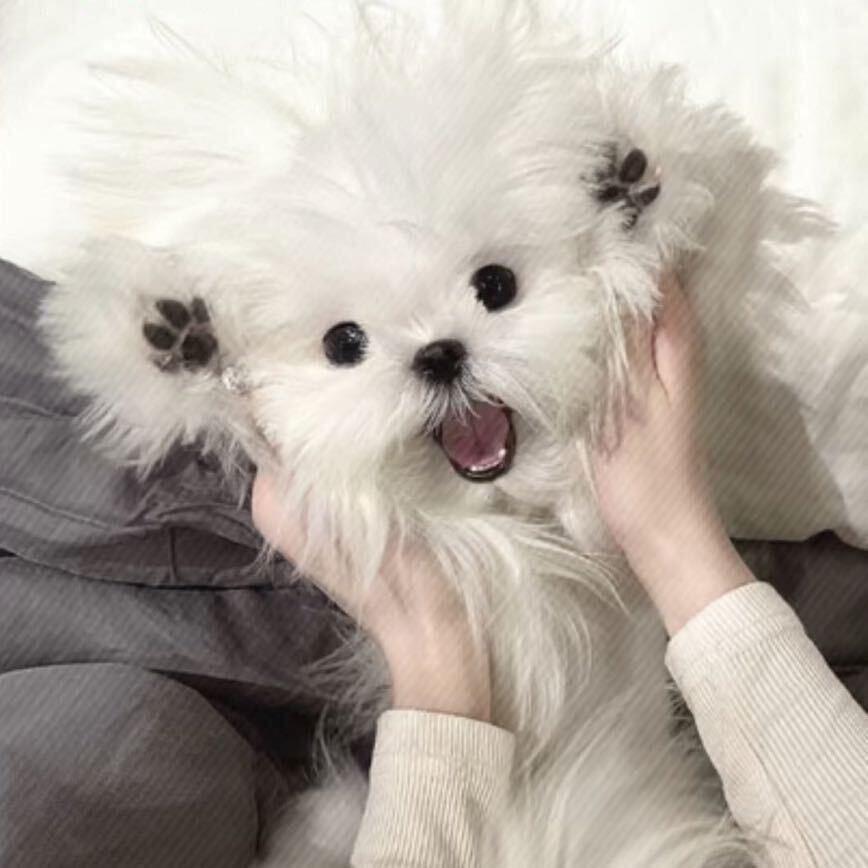 LLLJY