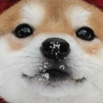 一觉睡到大天亮