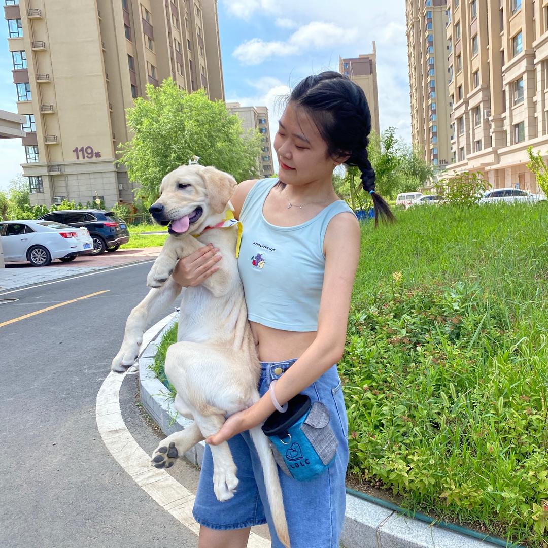 渣狗张51