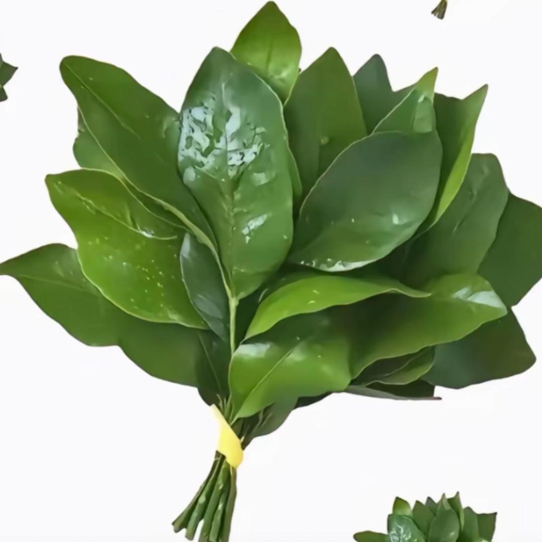 ✨✨🌈🌈Y 📱  J✨