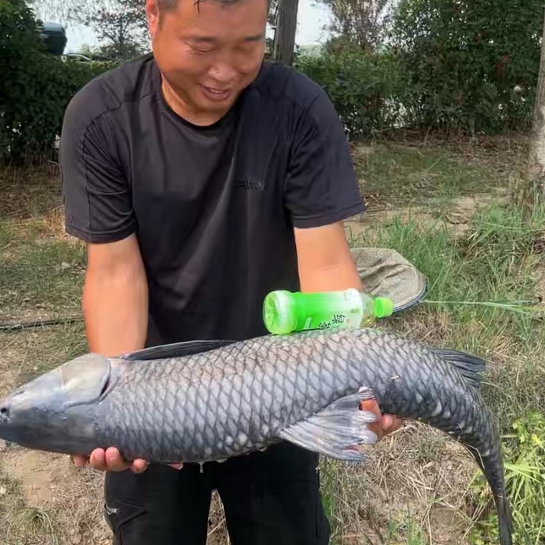 三环十三少