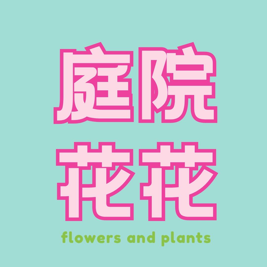 庭院花花