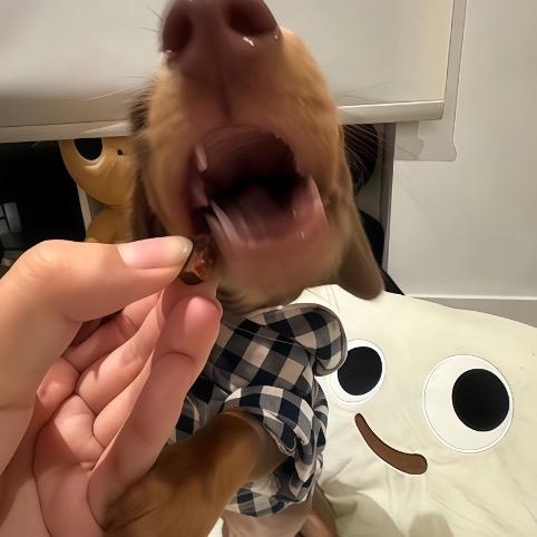 生活里吃不完的屎