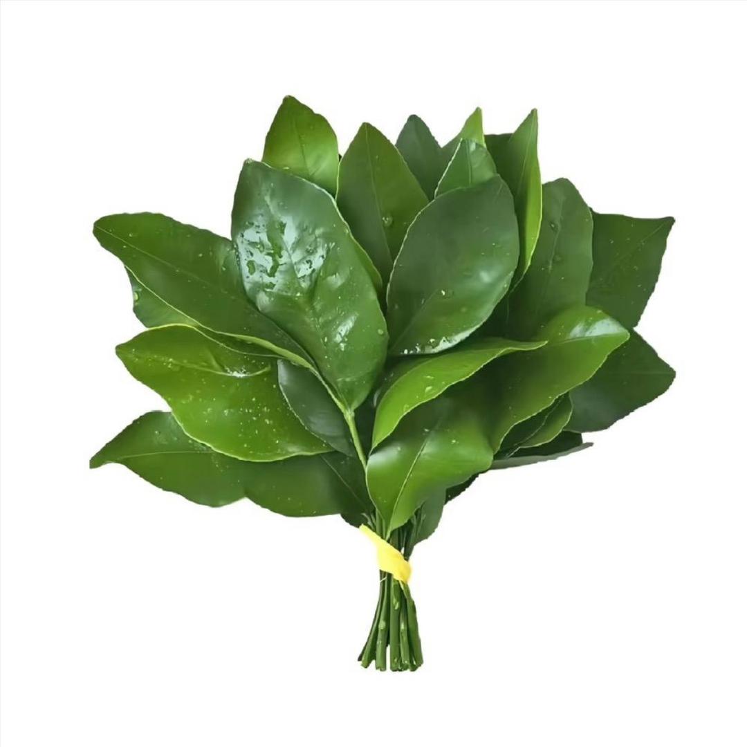莎姐姐吖