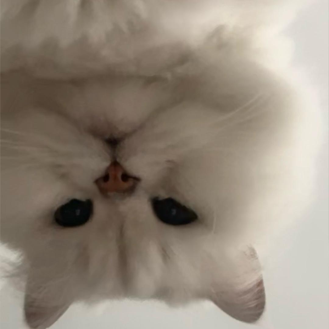 李爱国