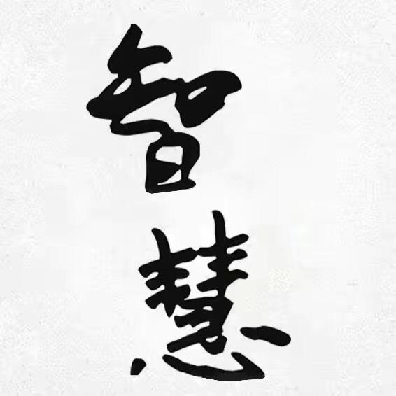 思维智慧