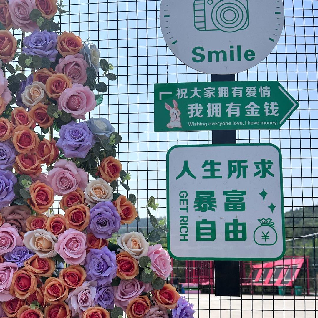 不必回头头像