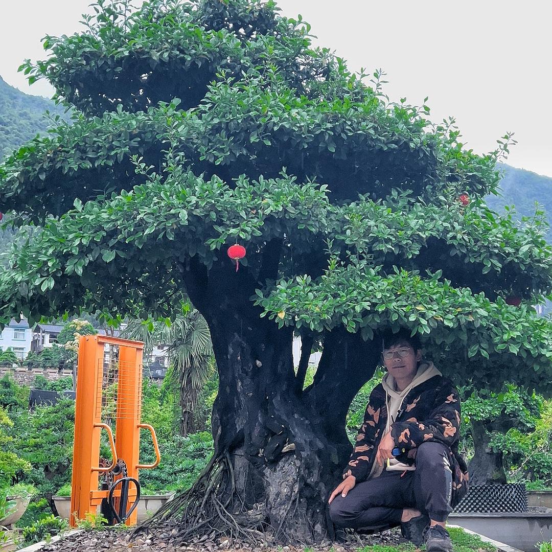 园子弹