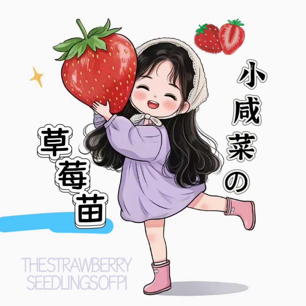 小咸菜 草莓苗之莓好生活莓烦恼