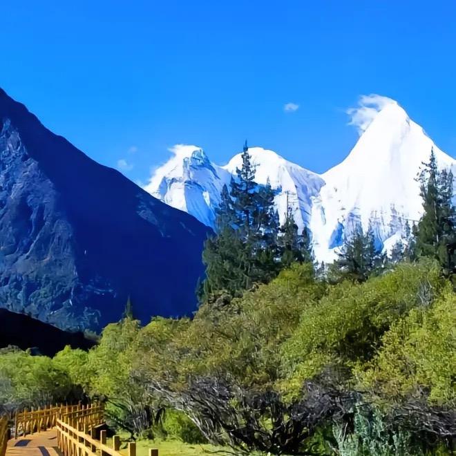 品牌音箱 二手音箱 正品帐户