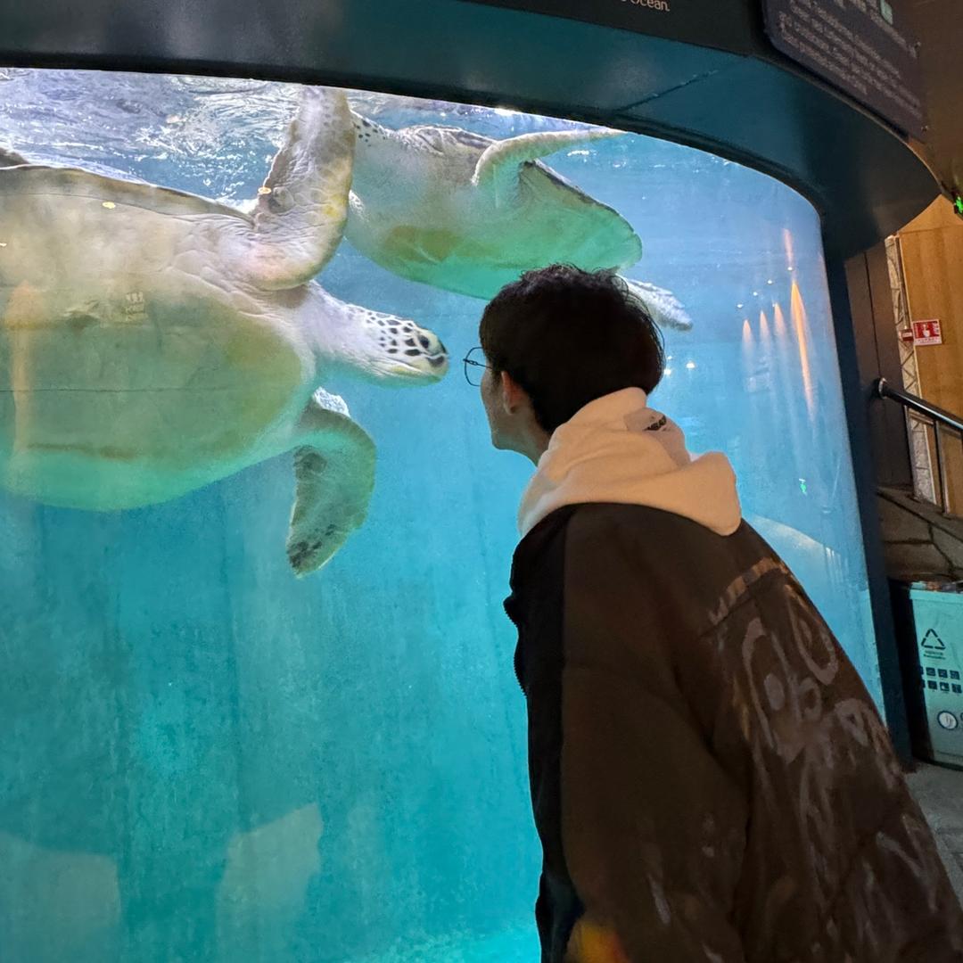 呲水乌龟🐢