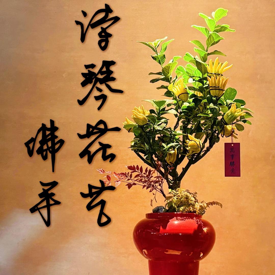 诗琴花艺集-曼曼