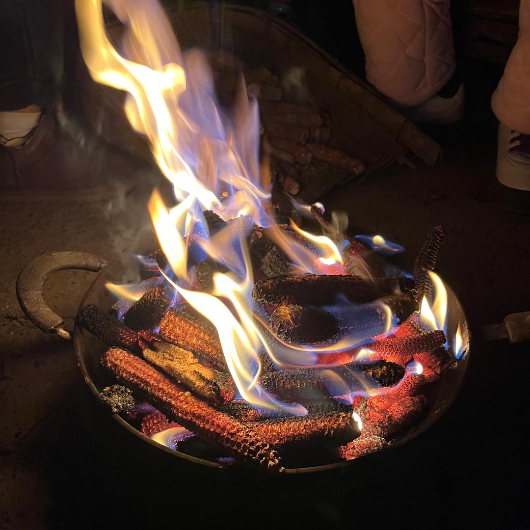 窗外的麻雀