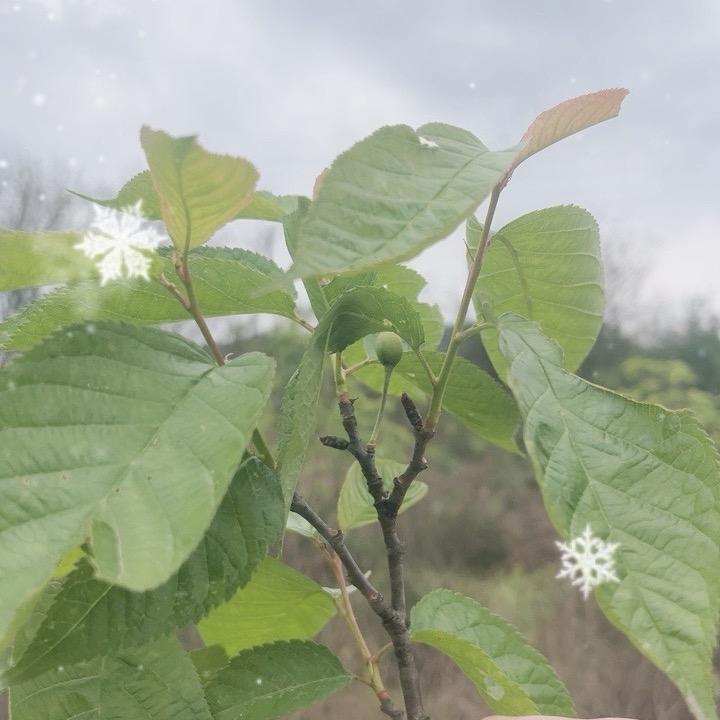 贵州金服