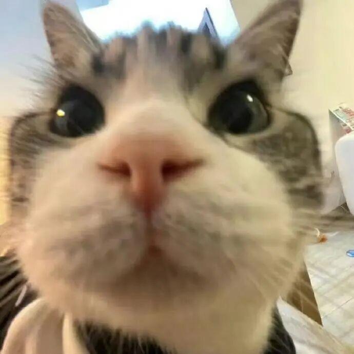 Di'