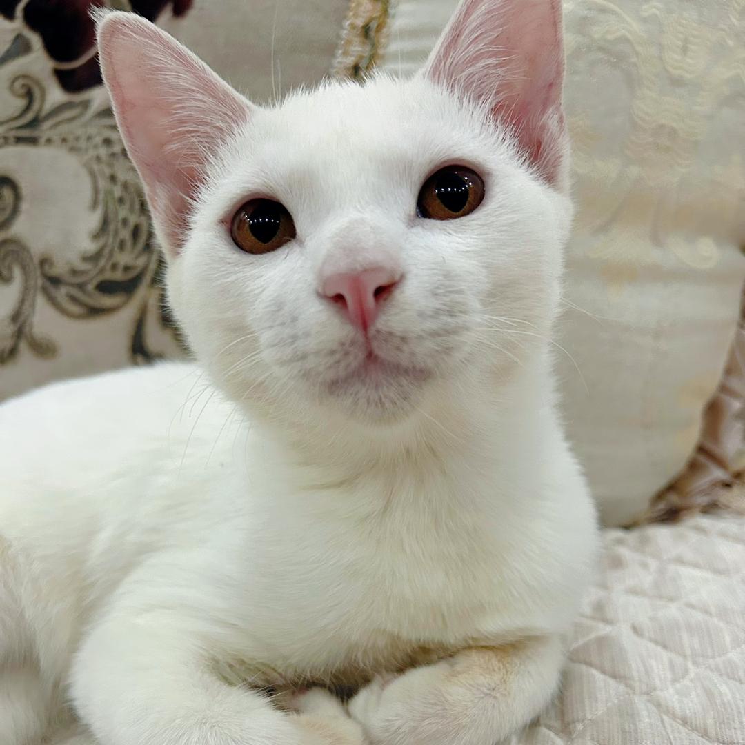 阿克苏市月亮屿美甲工作室