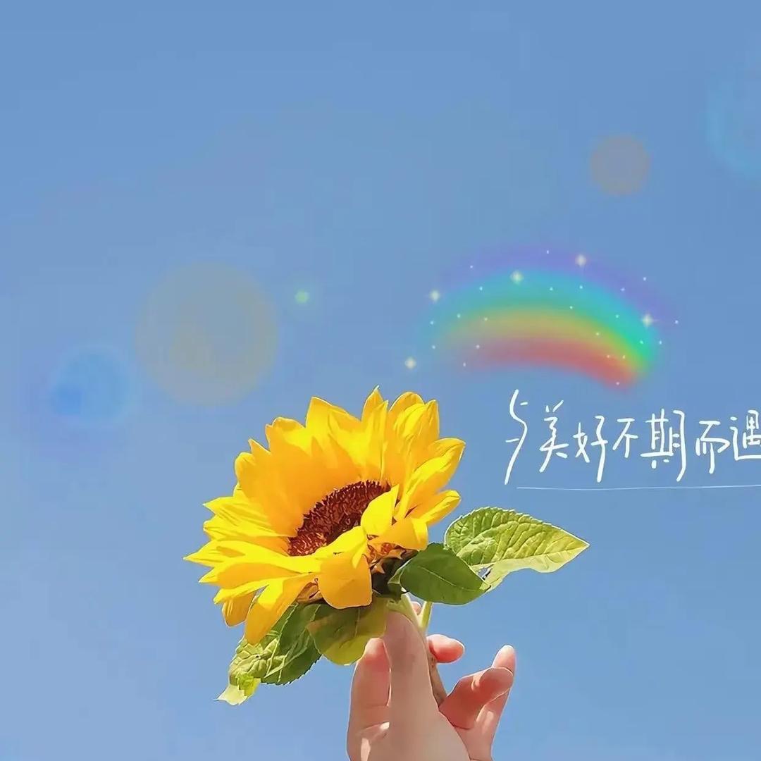 🌈白小白