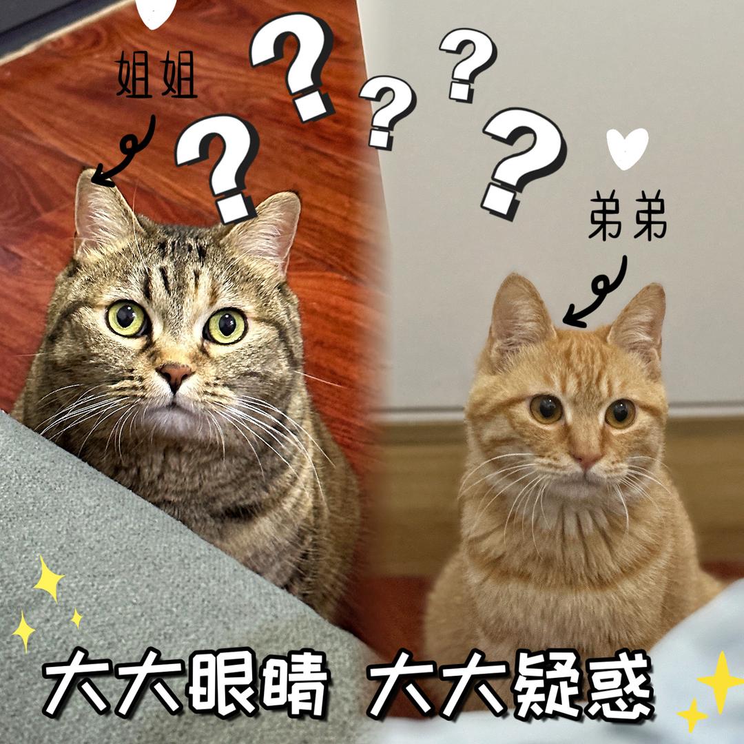 77要发财啦