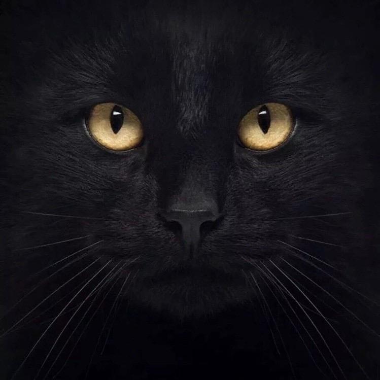 全力以赴I’ll do my best