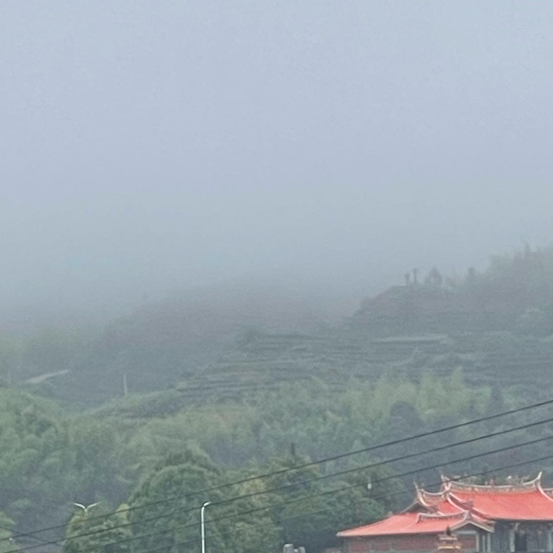 神奇的动物在抖音