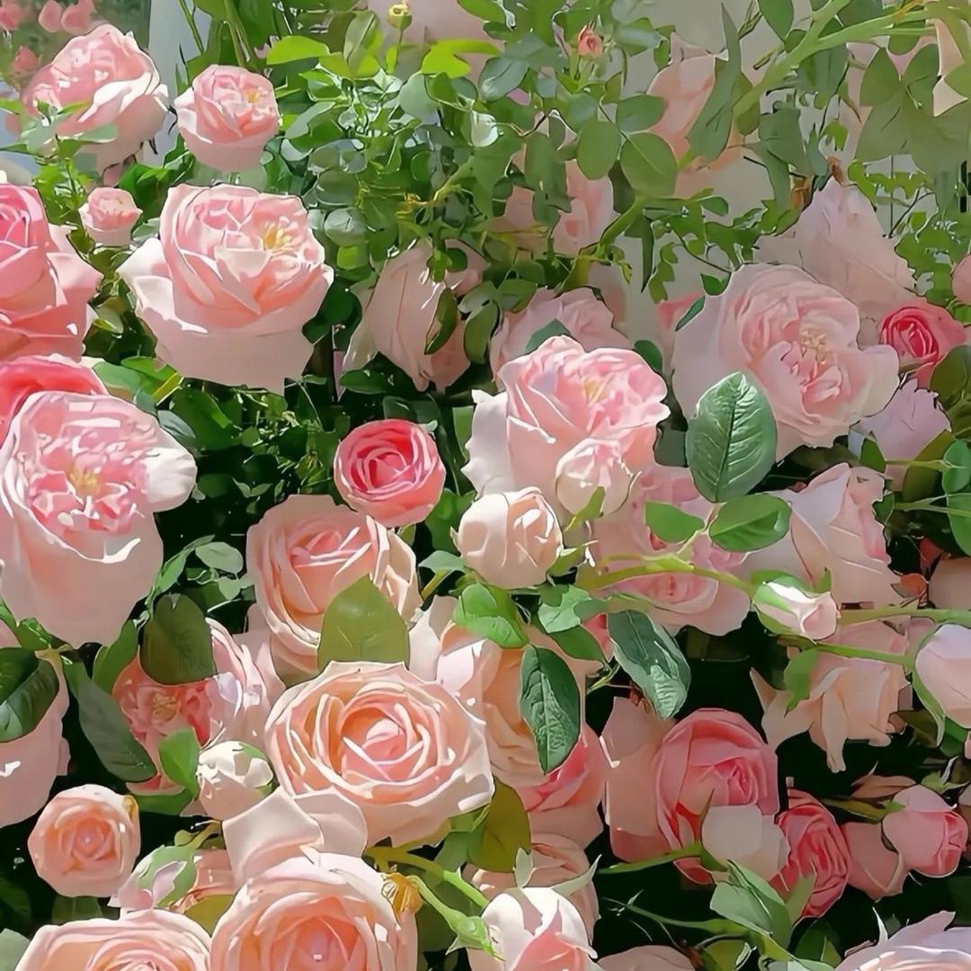 滇艺鲜花