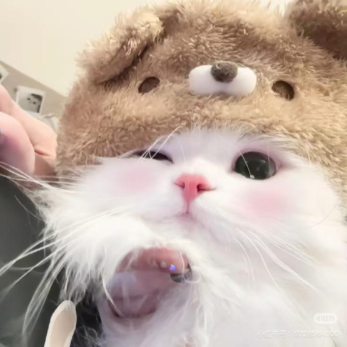 励儿🧚