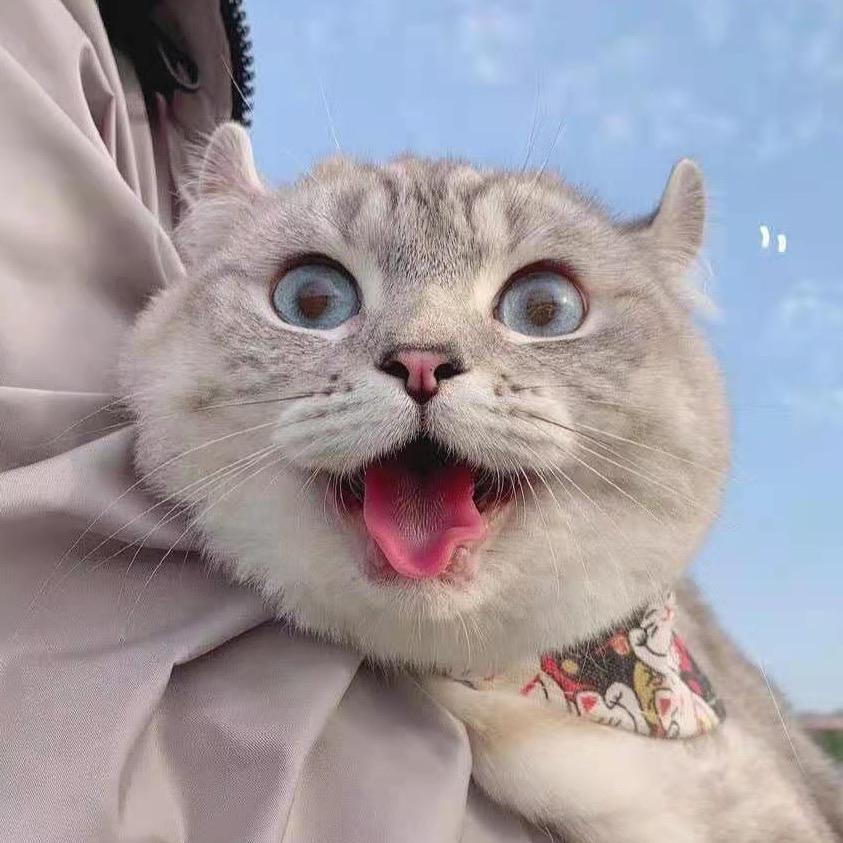 何小何