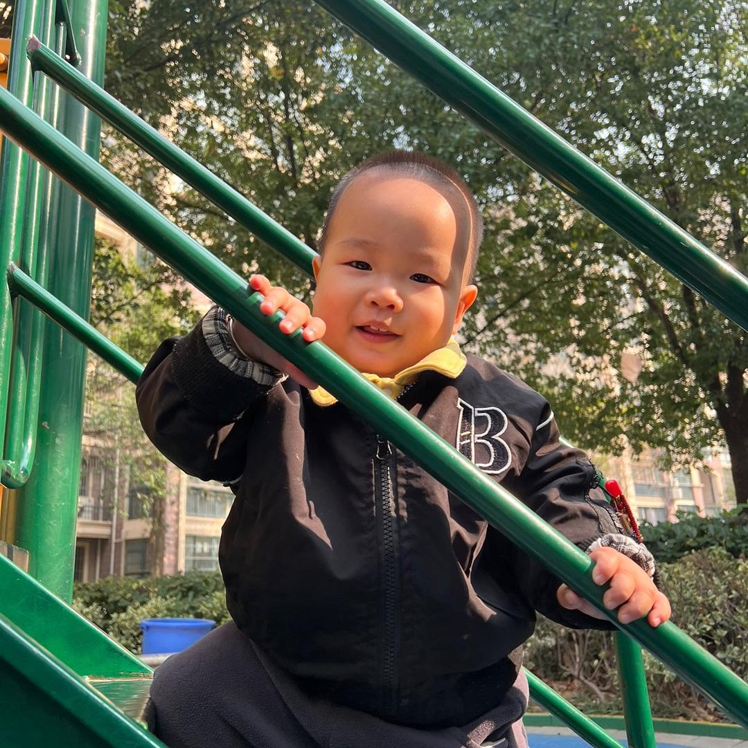 仔仔和石头