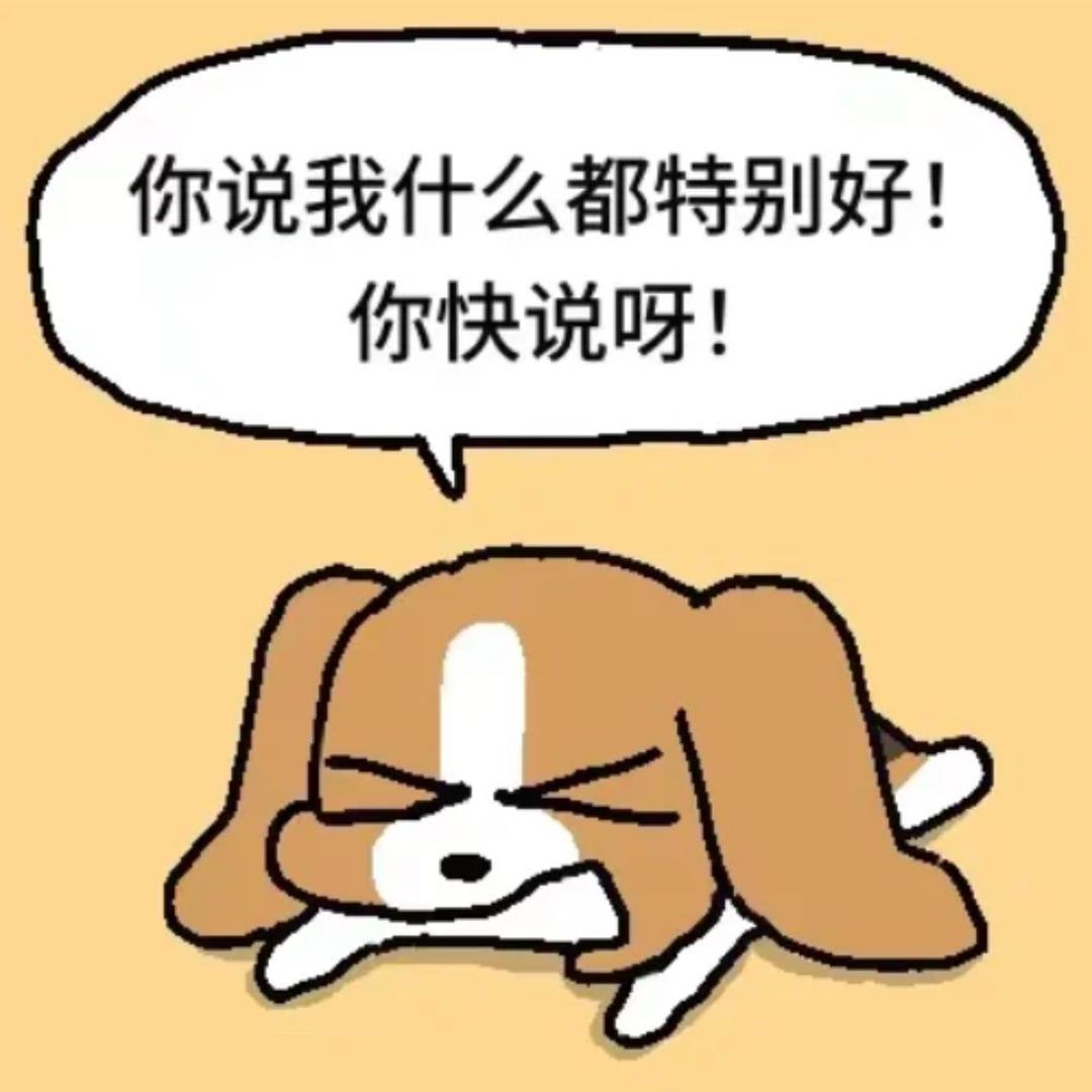 飞飞飞起来