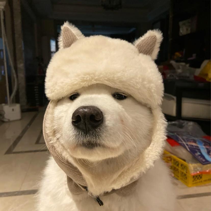 汉堡不加沙拉酱