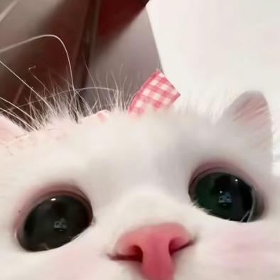 林佑佑ᜊ.