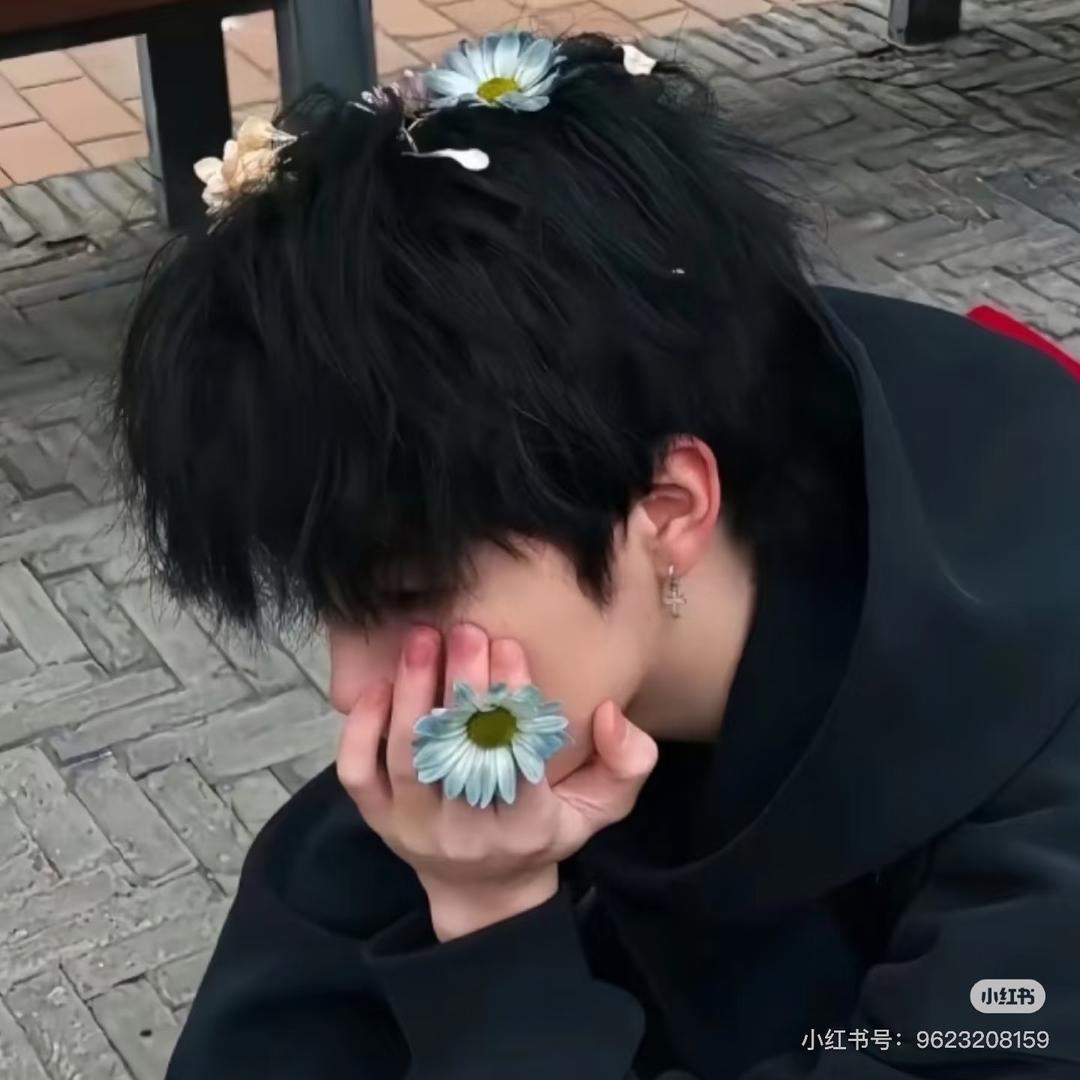 楚岸风