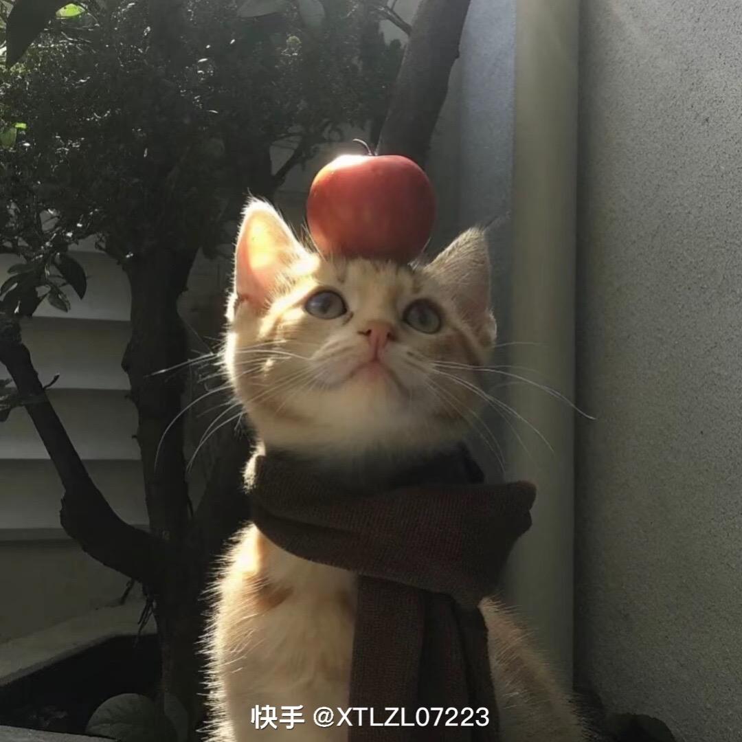 阿霞.