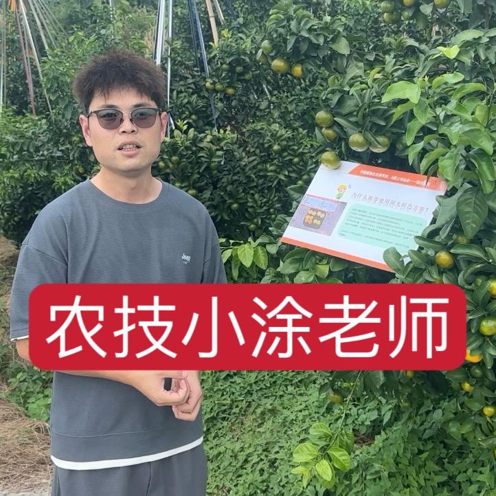 国光柑橘涂老师在线