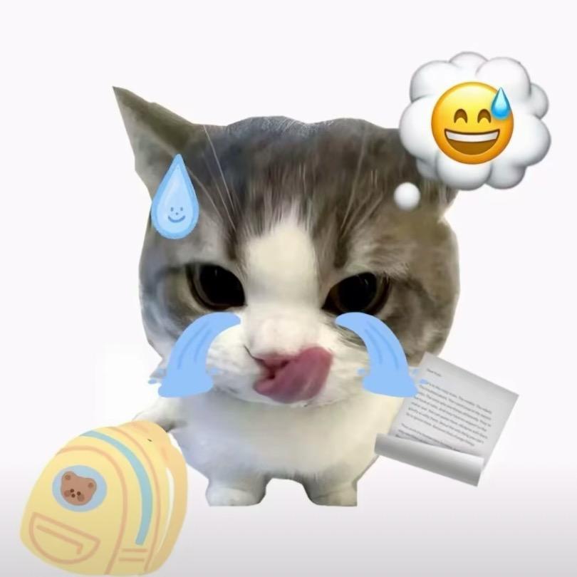不会飞的鱼𓆜