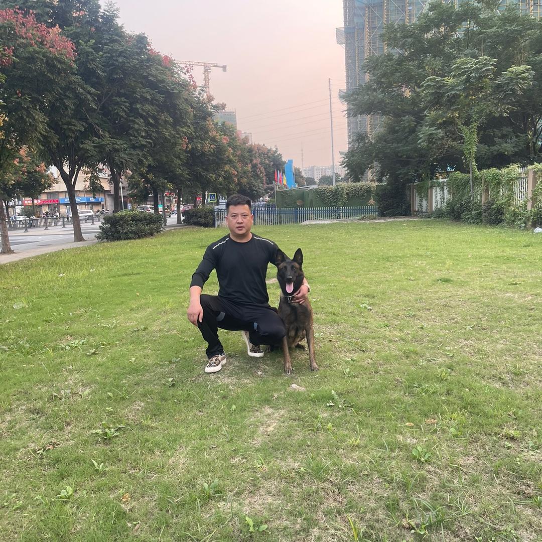 尽管努力