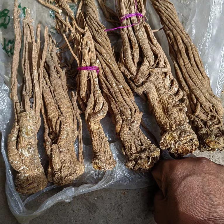 小杨农产品养生