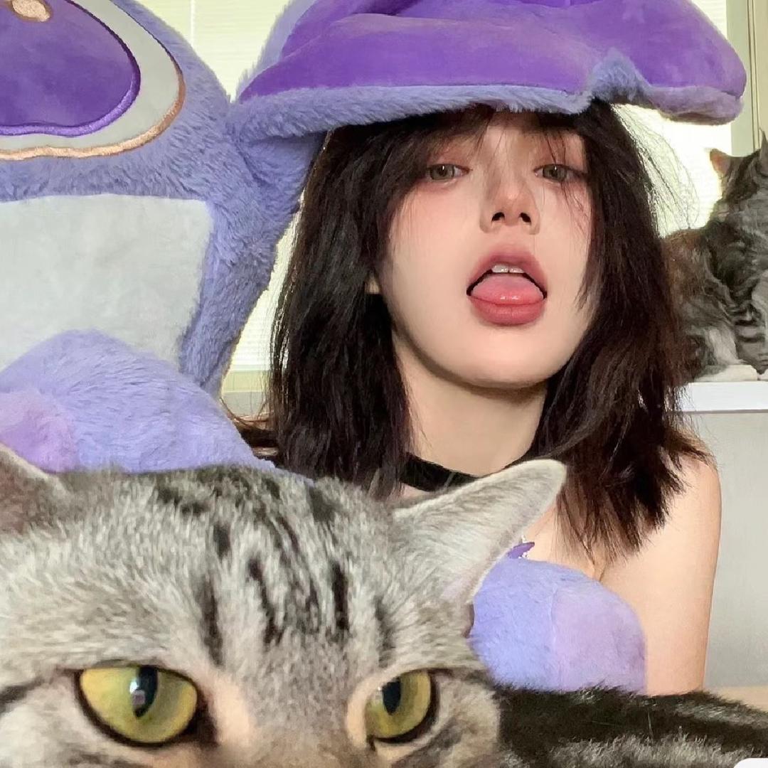 猫女林的汝凤宝宝