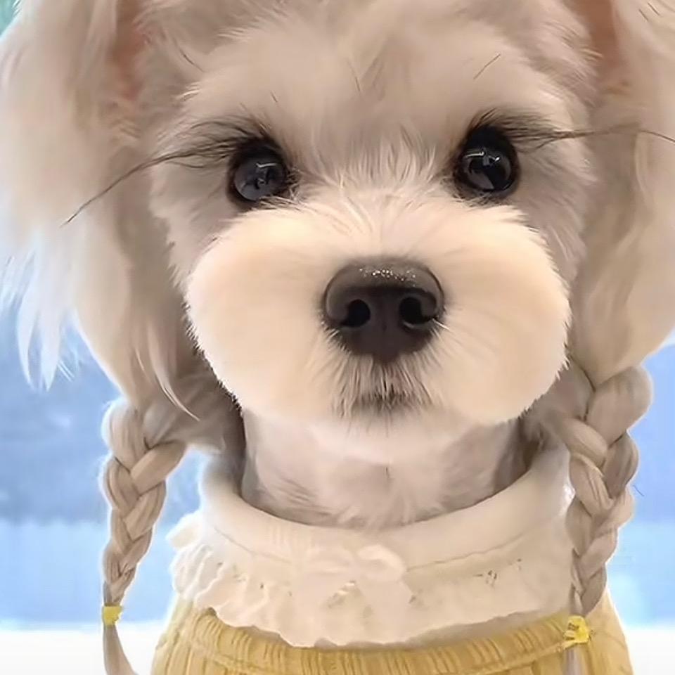 /;:,!’@@@@”.。—.“傲雪！，